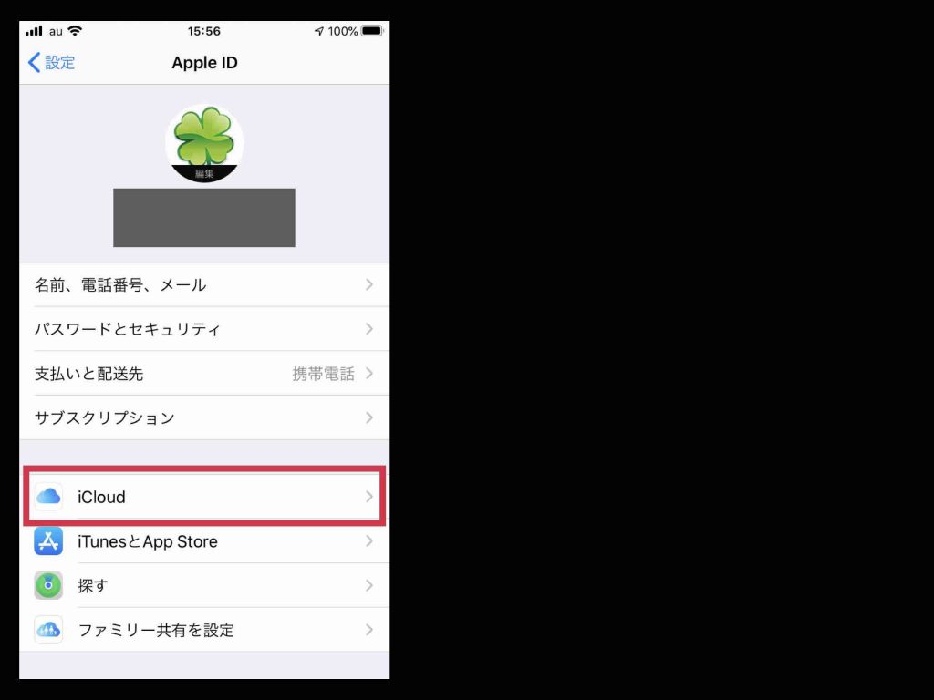〔iCloud〕を選択